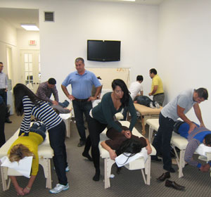 Dr Pourgol teaching at NAO-Oct 21, 2013